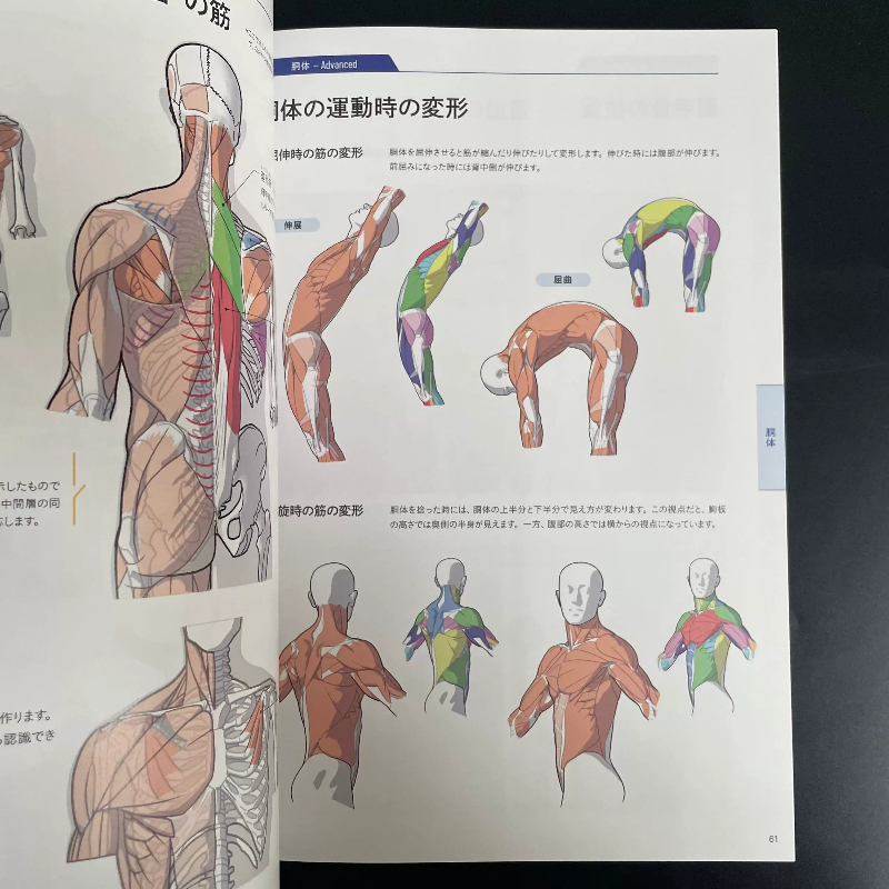 Podstawowy podręcznik anatomic – Photography Book recenzja i cena